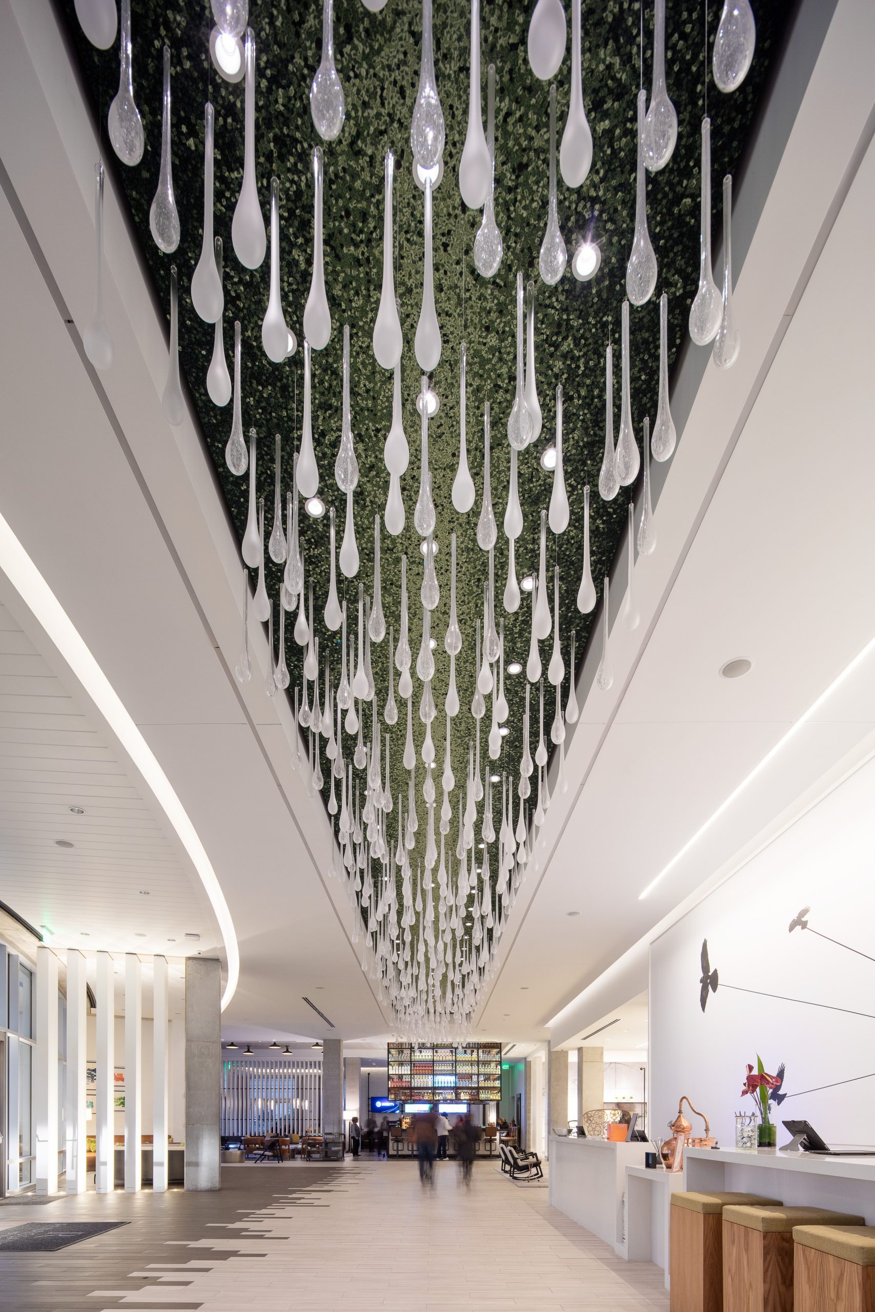MYCELIUM tendrils seen along the lobby reception