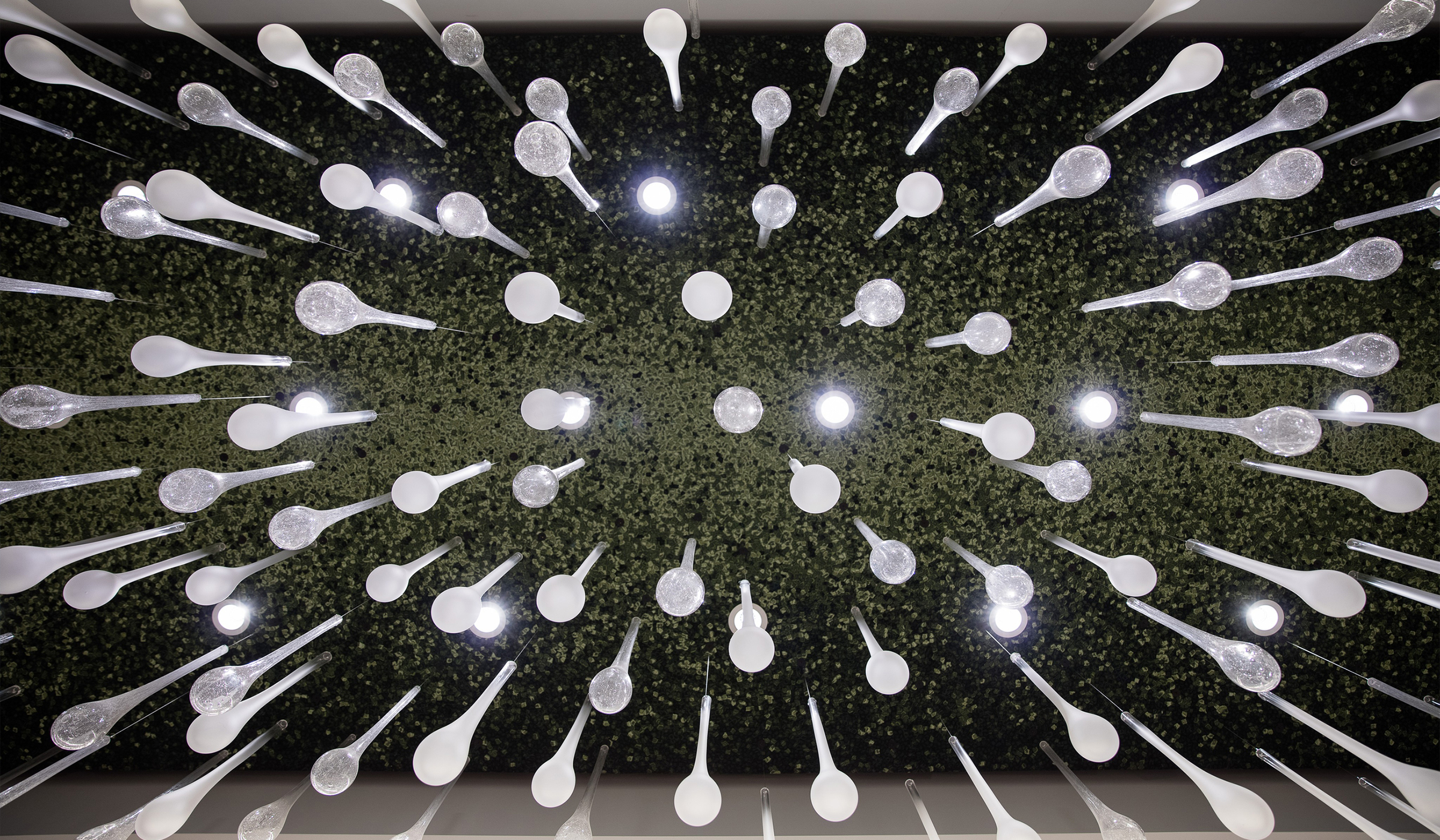 MYCELIUM ceiling light seen from directly below