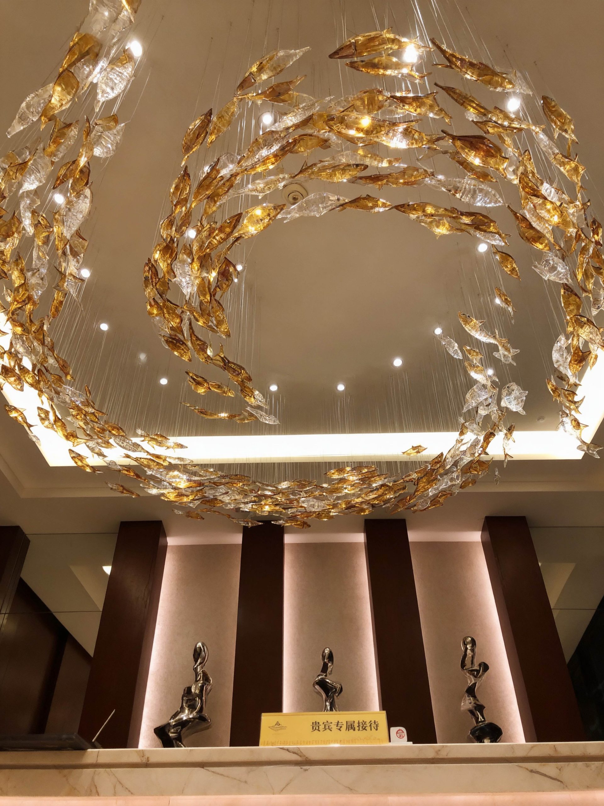 PISCES ceiling installation, overall shape seen from below